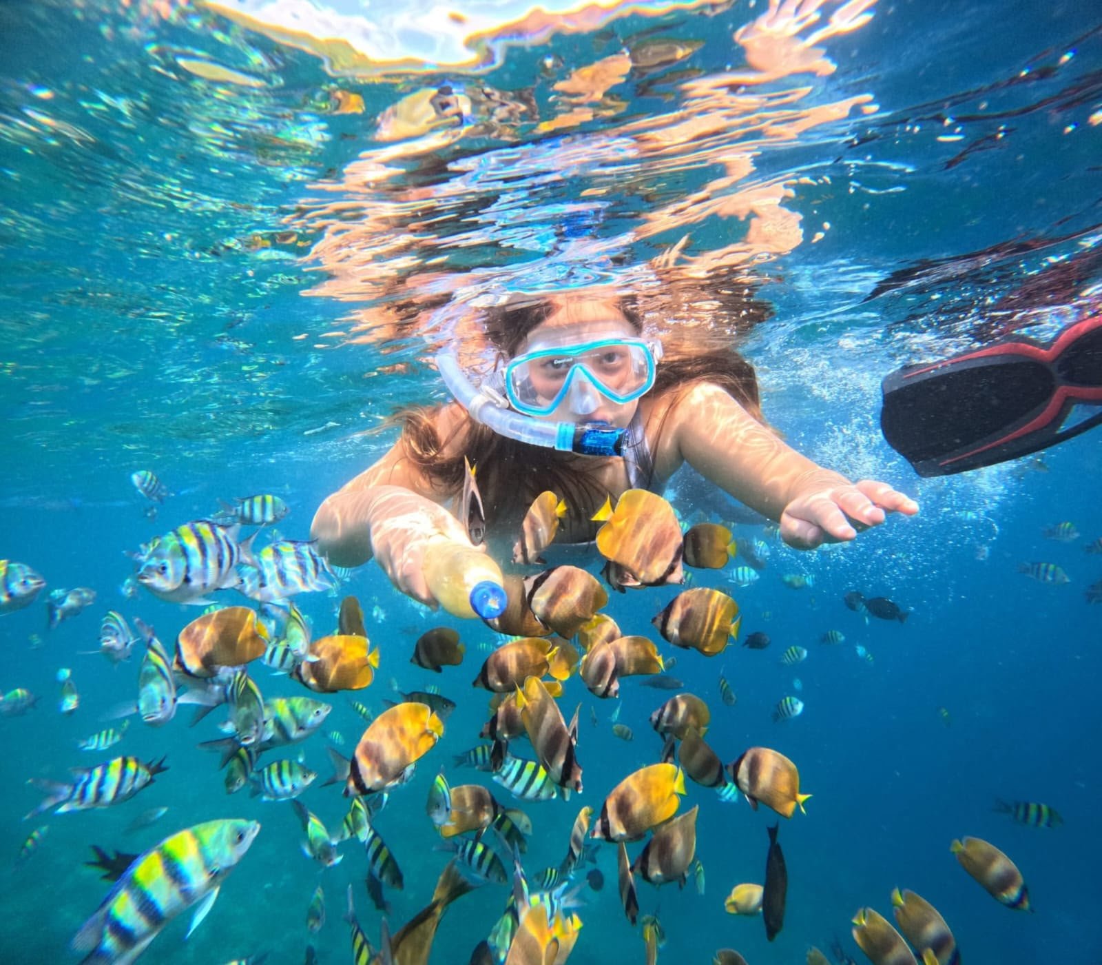 Snorkeling experience in Amed