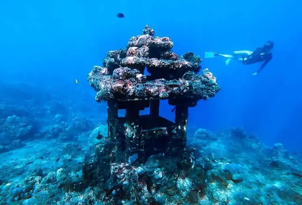 East Bali Snorkeling Tour moment